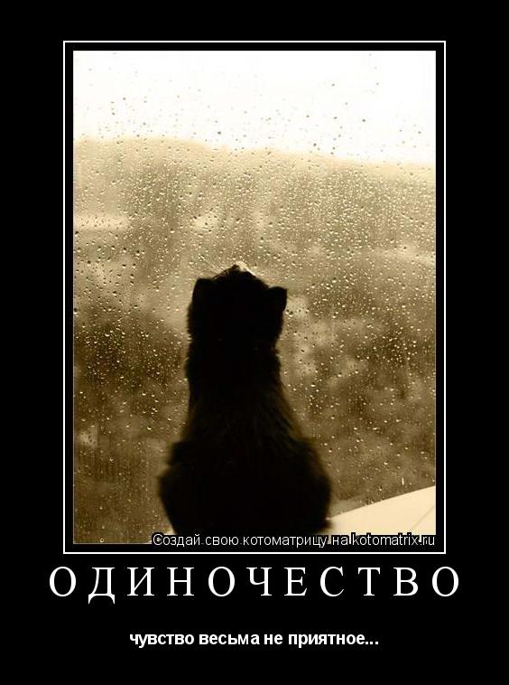 Одиночество чувство весьма не приятное...... Котоматрица: Одиночество чувство весьма не приятное...