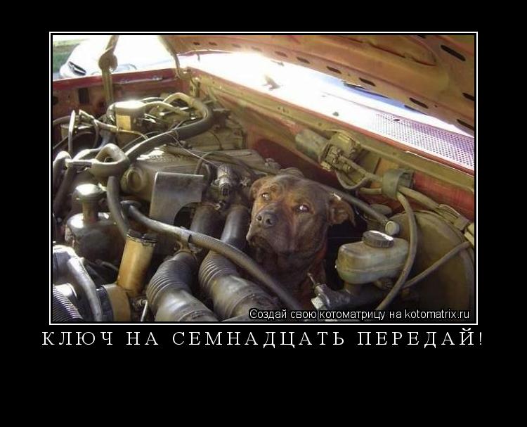 Ключ на семнадцать передай! ... Котоматрица: Ключ на семнадцать передай!