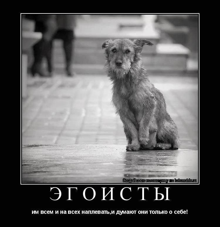 Эгоисты им всем и на всех наплевать,и думают они только о себе!... Котоматрица: Эгоисты им всем и на всех наплевать,и думают они только о себе!
