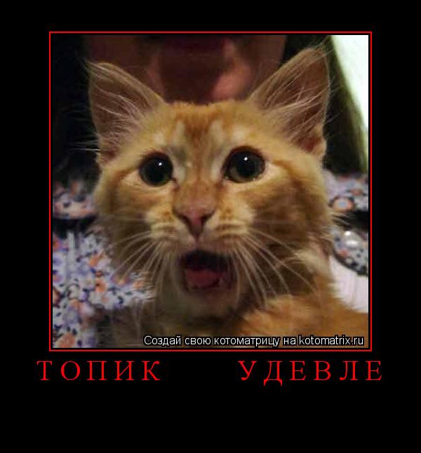 топик удевлё ... Котоматрица: топик удевлё