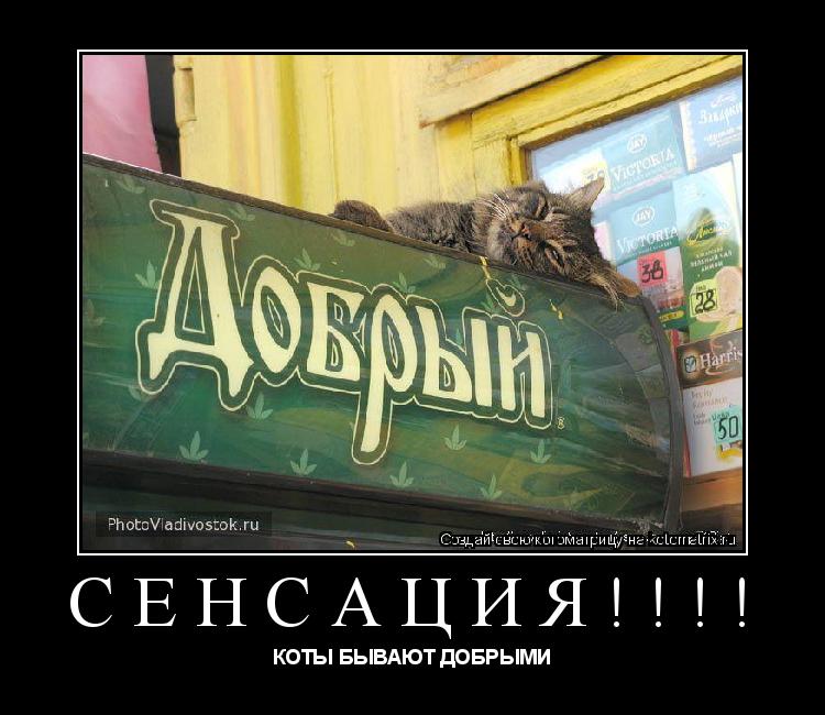 Котоматрица: СЕНСАЦИЯ!!!! КОТЫ БЫВАЮТ ДОБРЫМИ