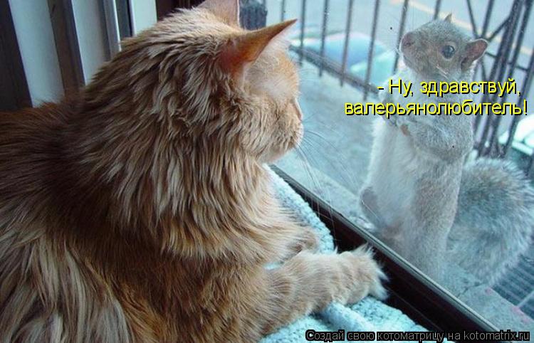 Котоматрица: - Ну, здравствуй, валерьянолюбитель!