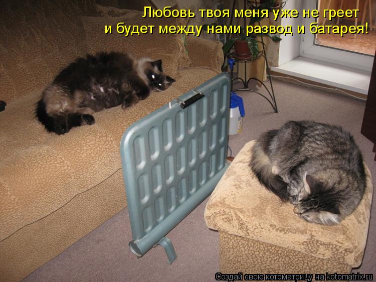 Котоматрица: Любовь твоя меня уже не греет и будет между нами развод и батарея!