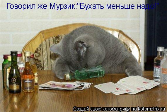 Котоматрица: Говорил же Мурзик:"Бухать меньше надо!"