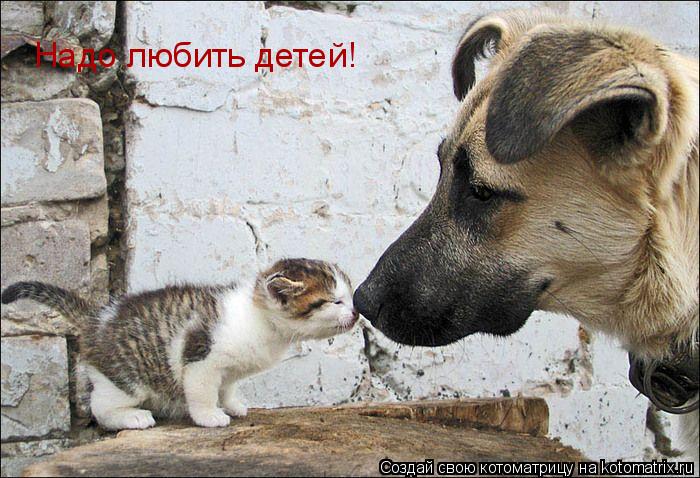 Котоматрица: Надо любить детей!