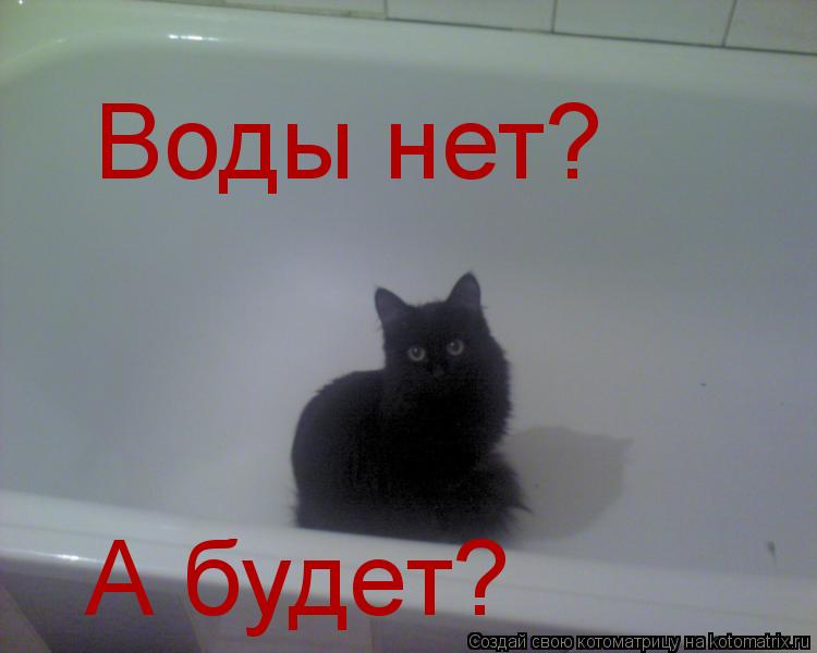 Котоматрица: Воды нет? А будет?