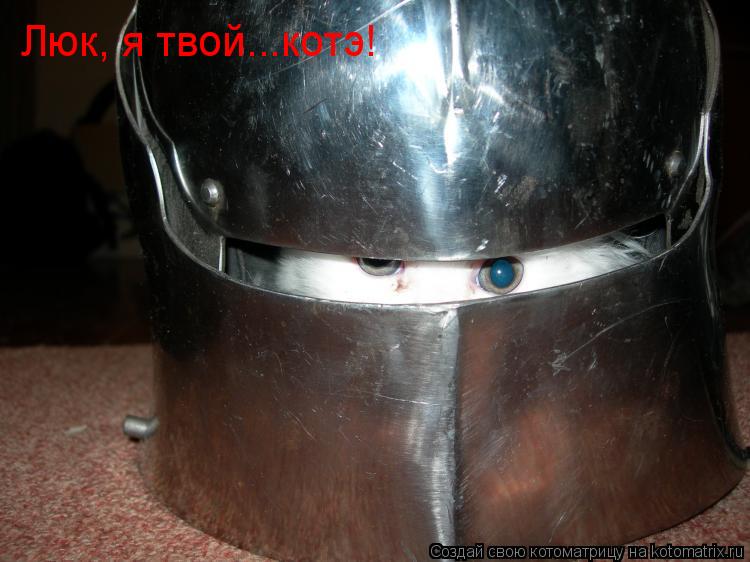 Котоматрица: Люк, я твой...котэ!