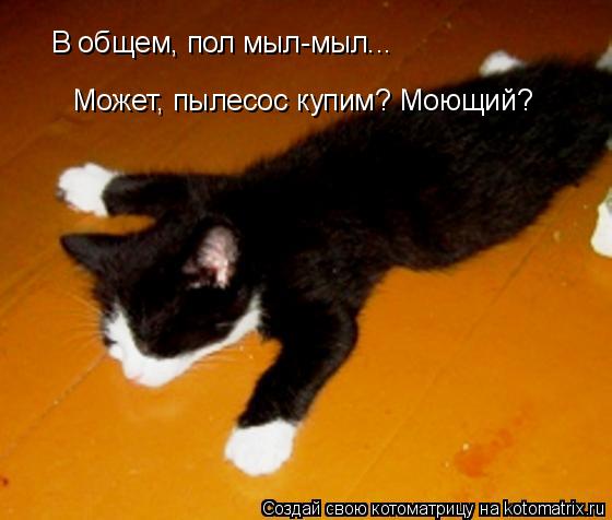 Котоматрица: В общем, пол мыл-мыл... Может, пылесос купим? Моющий?