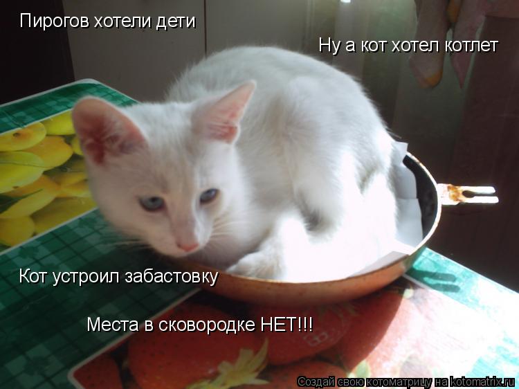 Пирогов хотели дети Ну а кот хотел котлет Кот устроил забастовку Места в сковородке НЕТ!!!... Котоматрица: Пирогов хотели дети Ну а кот хотел котлет Кот устроил забастовку Места в сковородке НЕТ!!!