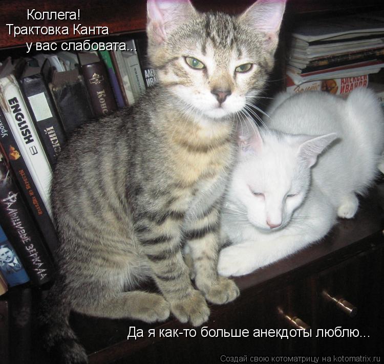 Коллега! Трактовка Канта у вас слабовата... Да я как-то больше анекдоты люблю...... Котоматрица: Коллега! Трактовка Канта у вас слабовата... Да я как-то больше анекдоты люблю...