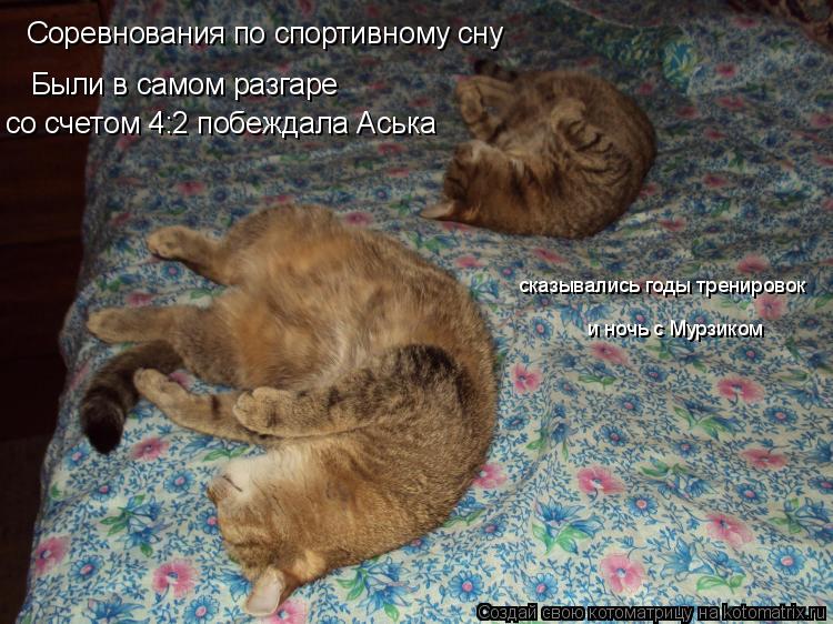 Котоматрица: Соревнования по спортивному сну Были в самом разгаре со счетом 4:2 побеждала Аська сказывались годы тренировок и ночь с Мурзиком