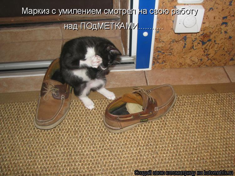 Котоматрица: Маркиз с умилением смотрел на свою работу над ПОдМЕТКАМИ...........