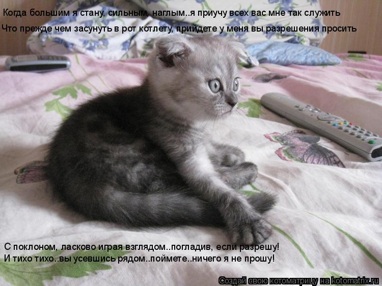 Котоматрица: Когда большим я стану, сильным, наглым..я приучу всех вас мне так служить Что прежде чем засунуть в рот котлету, прийдете у меня вы разрешени