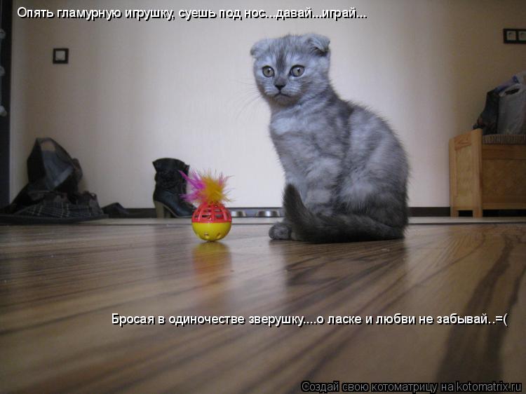 Котоматрица: Опять гламурную игрушку, суешь под нос...давай...играй... Бросая в одиночестве зверушку....о ласке и любви не забывай..=(
