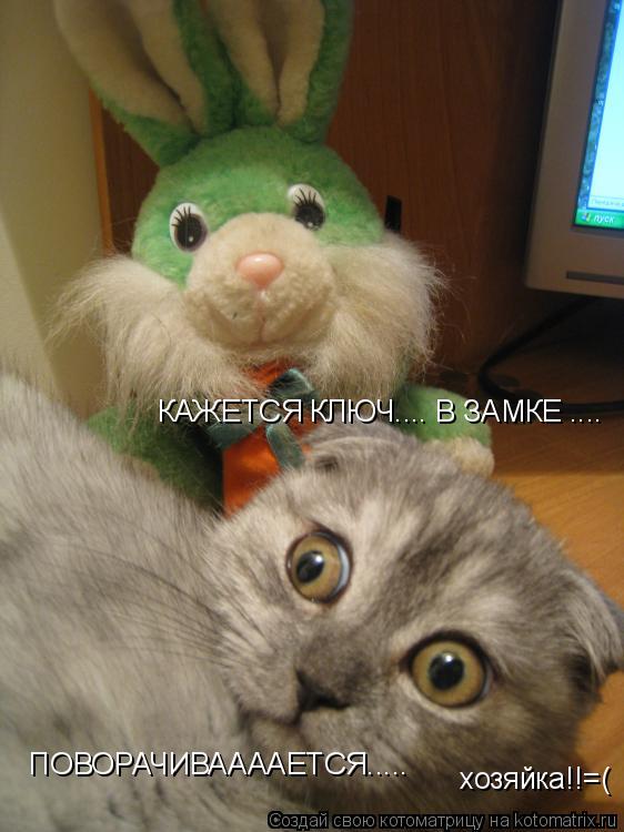 Котоматрица: КАЖЕТСЯ КЛЮЧ.... В ЗАМКЕ .... ПОВОРАЧИВААААЕТСЯ..... хозяйка!!=(