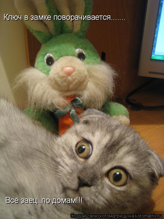 Котоматрица: Ключ в замке поворачивается....... Всё заец..по домам!!!