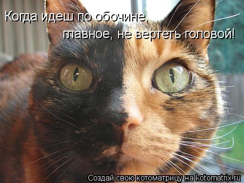 Котоматрица: Когда идеш по обочине,  главное, не вертеть головой!