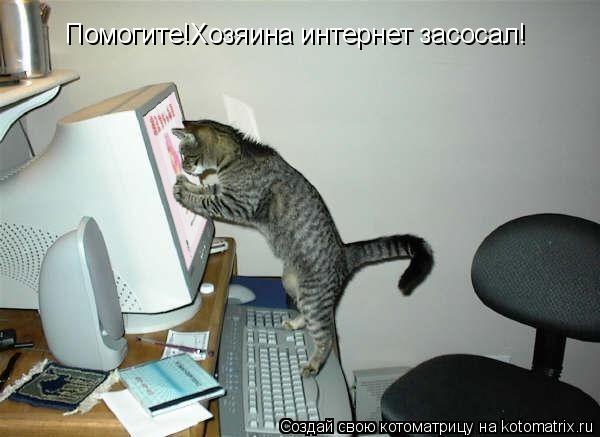 Котоматрица: Помогите!Хозяина интернет засосал!