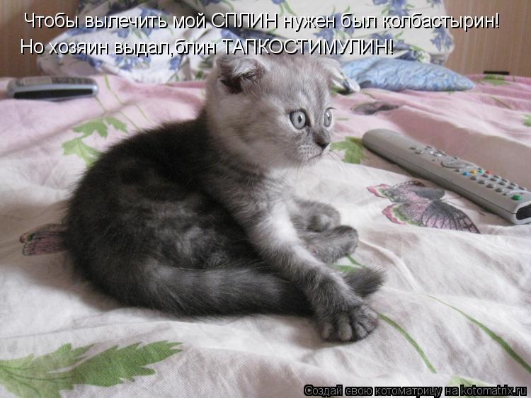 Котоматрица: Чтобы вылечить мой СПЛИН нужен был колбастырин! Но хозяин выдал,блин ТАПКОСТИМУЛИН!
