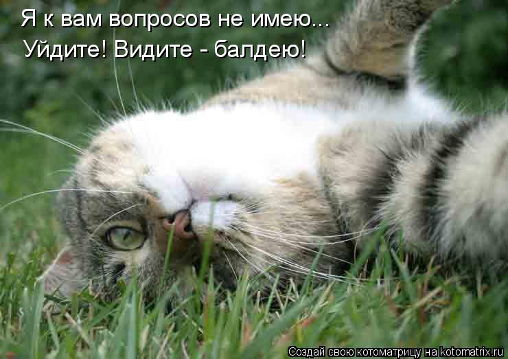 Я к вам вопросов не имею... Уйдите! Видите - балдею!... Котоматрица: Я к вам вопросов не имею... Уйдите! Видите - балдею!