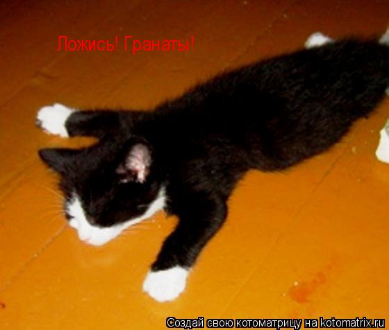 Котоматрица: Ложись! Ложись! Гранаты!