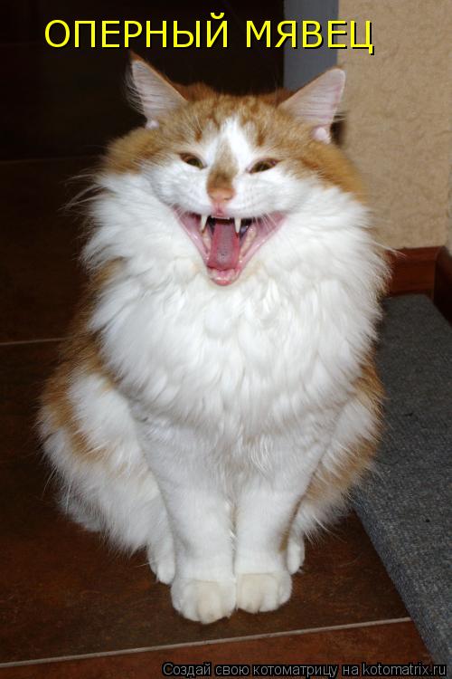 Котоматрица: ОПЕРНЫЙ МЯВЕЦ