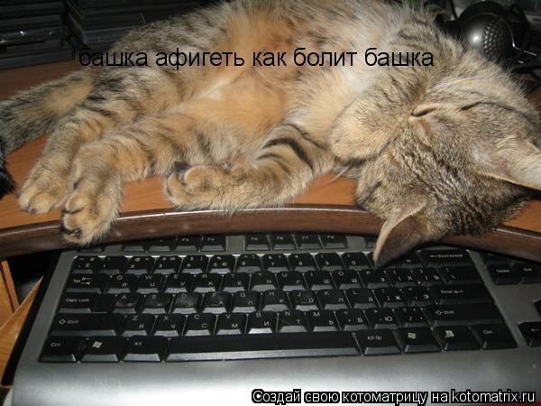 Котоматрица: башка афигеть как болит башка