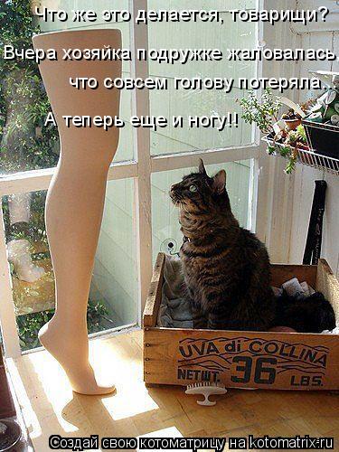 Котоматрица: Что же это делается, товарищи?  Вчера хозяйка подружке жаловалась,  что совсем голову потеряла... А теперь еще и ногу!!