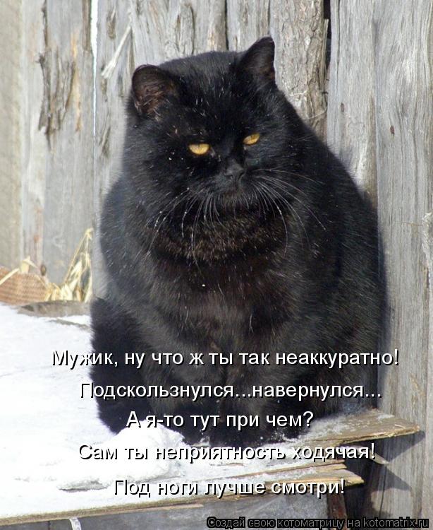 Котоматрица: Мужик, ну что ж ты так неаккуратно!  Подскользнулся...навернулся... А я-то тут при чем?  Сам ты неприятность ходячая!  Под ноги лучше смотри!