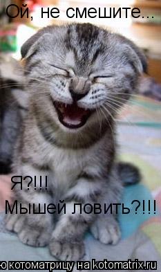 Котоматрица: Ой, не смешите...  Я?!!! Мышей ловить?!!!