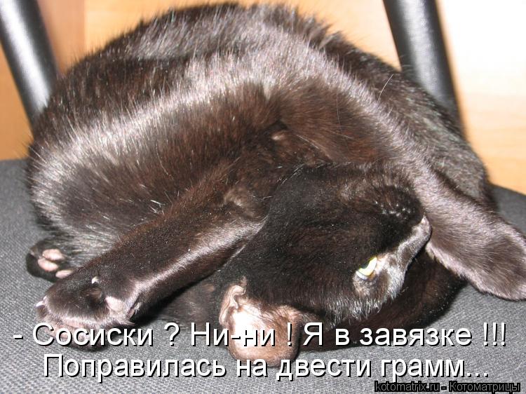 Котоматрица: - Сосиски ? Ни-ни ! Я в завязке !!! Поправилась на двести грамм...