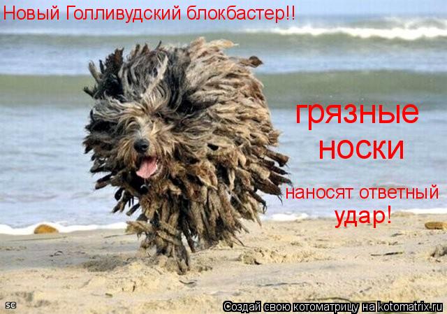 Котоматрица: Новый Голливудский блокбастер!! грязные носки наносят ответный удар!