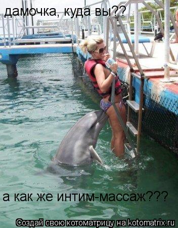Котоматрица: дамочка, куда вы?? а как же интим-массаж???