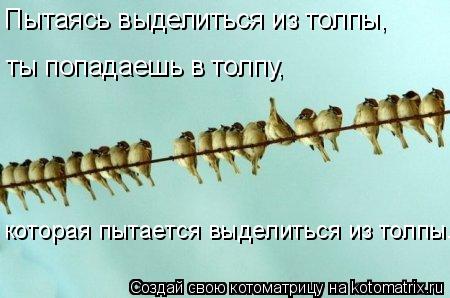 Котоматрица: которая пытается выделиться из толпы. Пытаясь выделиться из толпы, ты попадаешь в толпу,