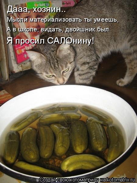Котоматрица: Дааа, хозяин.. Мысли материализовать ты умеешь, А в школе, видать, двойшник был Я просил САЛОнину!