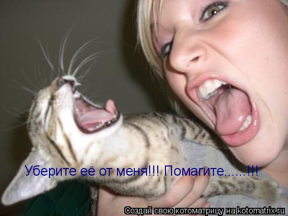 Котоматрица: Уберите её от меня!!! Помагите......!!!