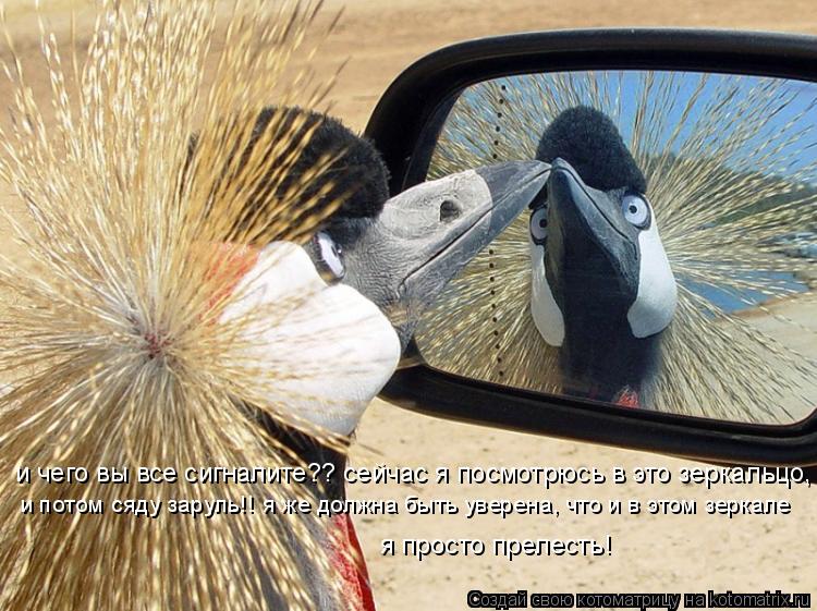 Котоматрица: и чего вы все сигналите?? сейчас я посмотрюсь в это зеркальцо, и потом сяду заруль!! я же должна быть уверена, что и в этом зеркале я просто пре