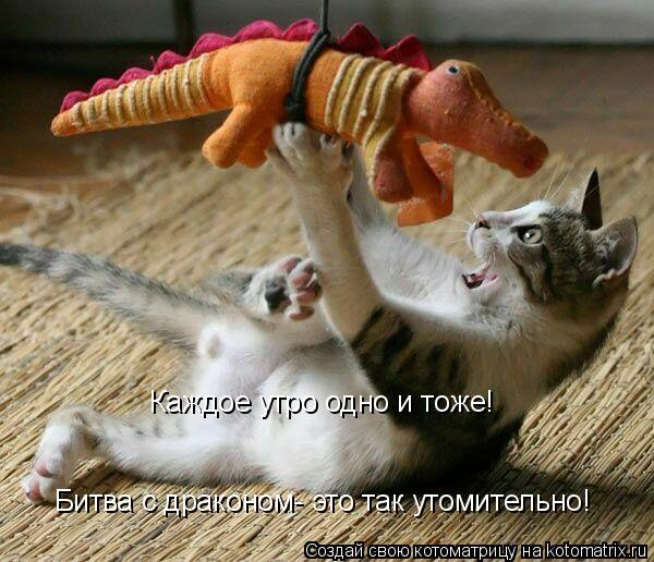 Котоматрица: Каждое утро одно и тоже!  Битва с драконом- это так утомительно!