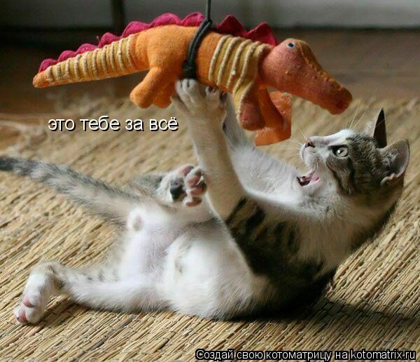 Котоматрица: это тебе за всё
