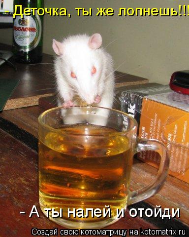 Котоматрица: - Деточка, ты же лопнешь!!!! - А ты налей и отойди