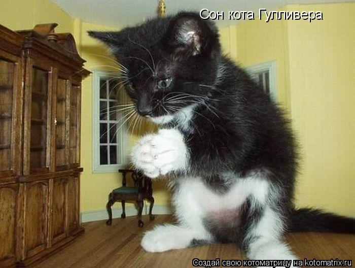 Котоматрица: Сон кота Гулливера