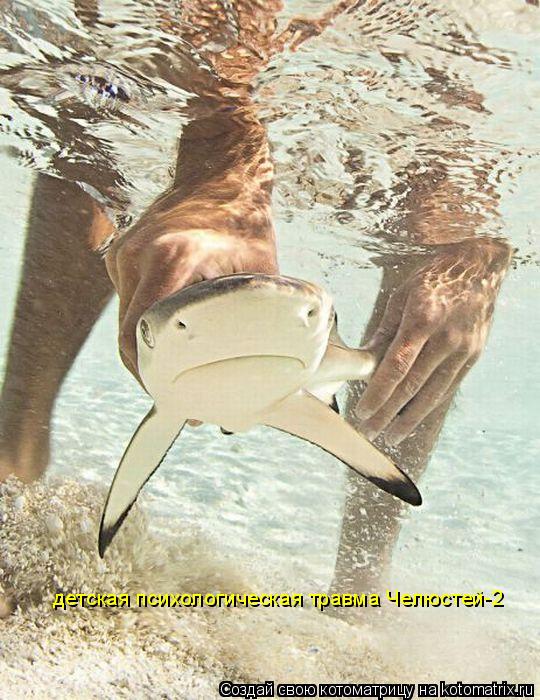Котоматрица: детская психологическая травма Челюстей-2