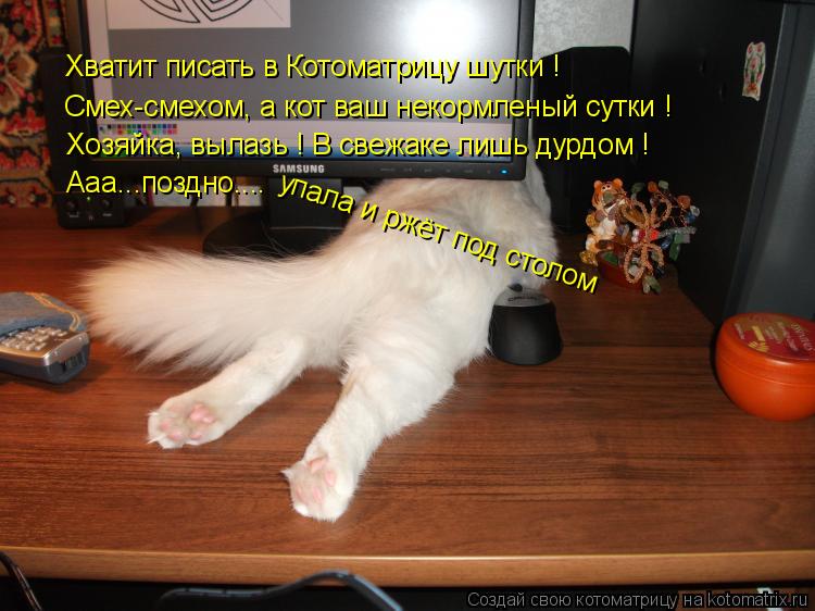 Хватит писать в Котоматрицу шутки ! Смех-смехом, а кот ваш некормленый сутки ! Хозяйка, вылазь ! В св... Котоматрица: Хватит писать в Котоматрицу шутки ! Смех-смехом, а кот ваш некормленый сутки ! Хозяйка, вылазь ! В свежаке лишь дурдом ! Ааа...поздно.... упала и