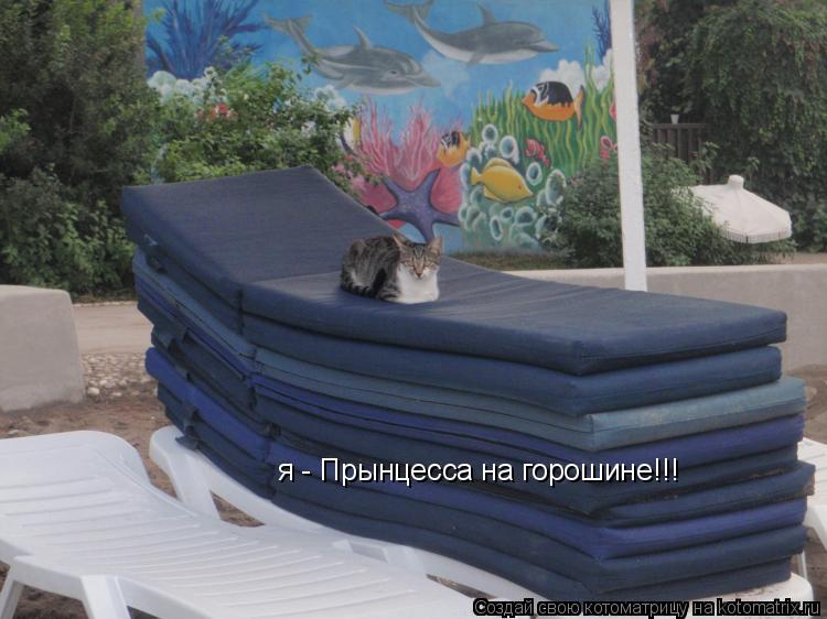 Котоматрица: я - Прынцесса на горошине!!! я - Прынцесса на горошине!!!