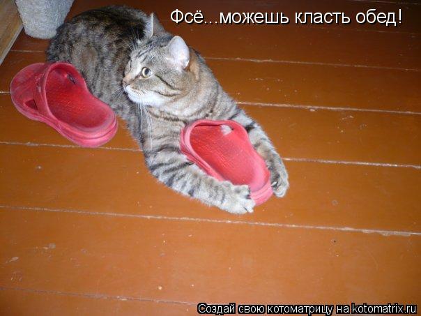 Котоматрица: Фсё...можешь класть обед!