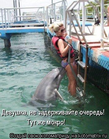 Котоматрица: Девушка, не задерживайте очередь! Тут же мокро!