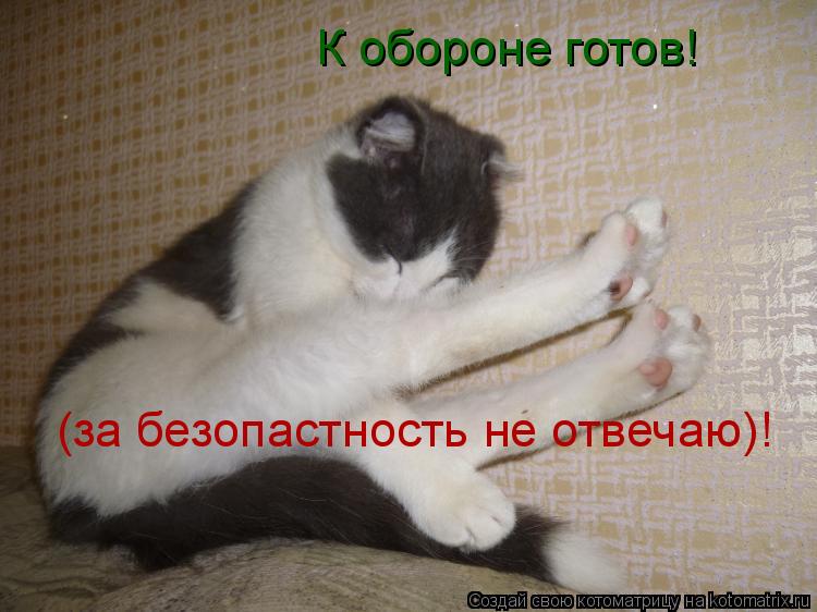 Котоматрица: К обороне готов! (за безопастность не отвечаю)!