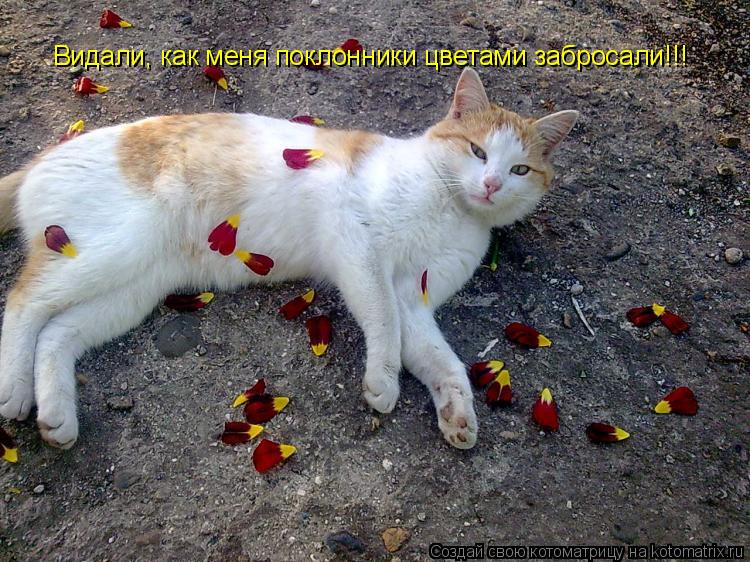 Котоматрица: Видали, как меня поклонники цветами забросали!!!