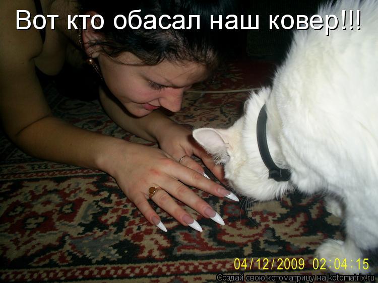 Котоматрица: Вот кто обасал наш ковер!!!