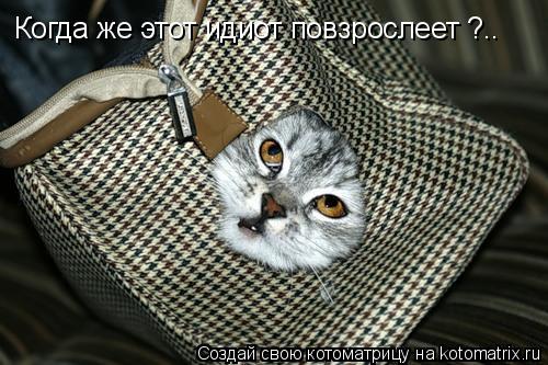 Котоматрица: Когда же этот идиот повзрослеет ?..